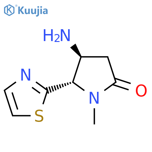 4-amino-1-methyl-5-(1,3-thiazol-2-yl)pyrrolidin-2-one structure