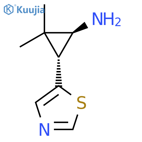 rac-(1R,3S)-2,2-dimethyl-3-(1,3-thiazol-5-yl)cyclopropan-1-amine structure