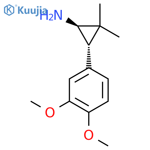 rac-(1R,3S)-3-(3,4-dimethoxyphenyl)-2,2-dimethylcyclopropan-1-amine structure