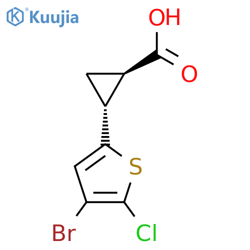 rac-(1R,2R)-2-(4-bromo-5-chlorothiophen-2-yl)cyclopropane-1-carboxylic acid structure