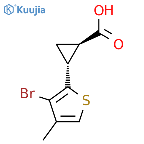 rac-(1R,2R)-2-(3-bromo-4-methylthiophen-2-yl)cyclopropane-1-carboxylic acid structure