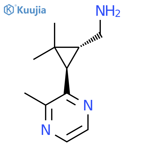 rac-(1R,3R)-2,2-dimethyl-3-(3-methylpyrazin-2-yl)cyclopropylmethanamine structure