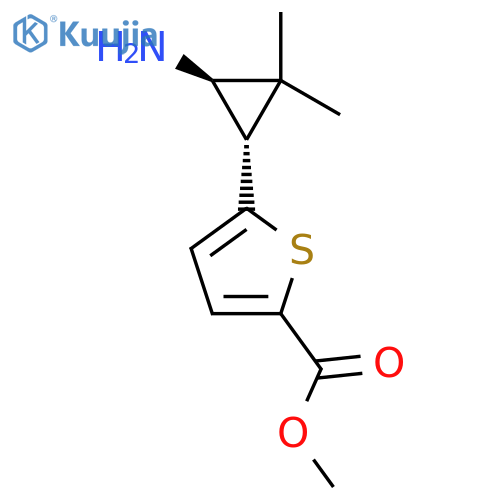 rac-methyl 5-(1R,3S)-3-amino-2,2-dimethylcyclopropylthiophene-2-carboxylate structure