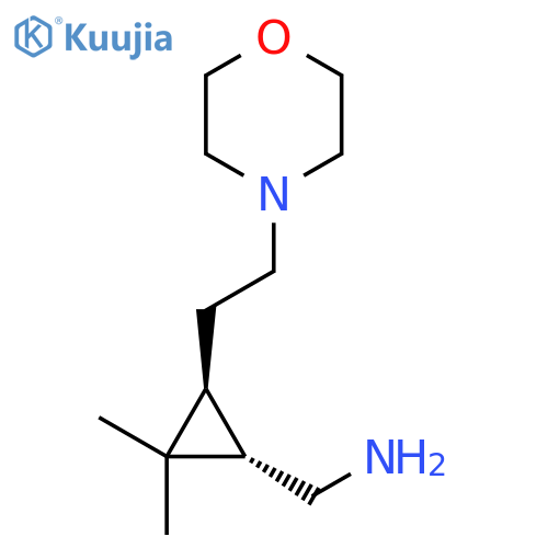 rac-[(1R,3R)-2,2-dimethyl-3-[2-(morpholin-4-yl)ethyl]cyclopropyl]methanamine structure