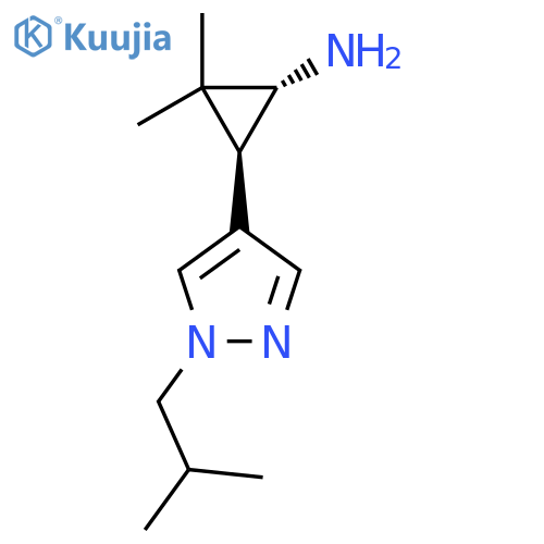 rac-(1R,3R)-2,2-dimethyl-3-1-(2-methylpropyl)-1H-pyrazol-4-ylcyclopropan-1-amine structure