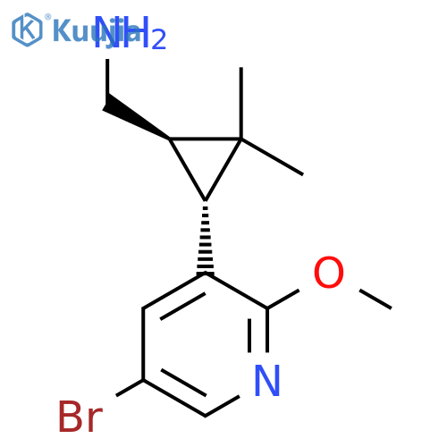 rac-(1R,3R)-3-(5-bromo-2-methoxypyridin-3-yl)-2,2-dimethylcyclopropylmethanamine structure