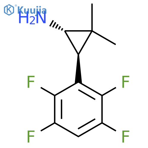 rac-(1R,3R)-2,2-dimethyl-3-(2,3,5,6-tetrafluorophenyl)cyclopropan-1-amine structure