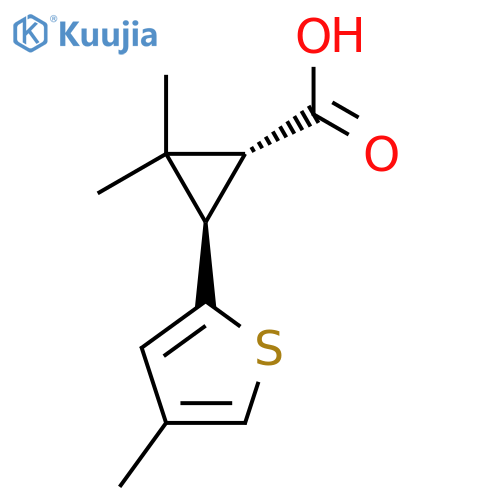 rac-(1R,3R)-2,2-dimethyl-3-(4-methylthiophen-2-yl)cyclopropane-1-carboxylic acid structure