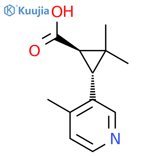 rac-(1R,3R)-2,2-dimethyl-3-(4-methylpyridin-3-yl)cyclopropane-1-carboxylic acid structure