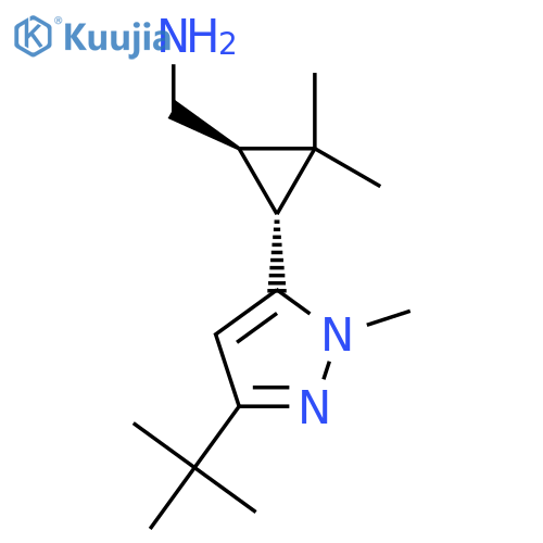 rac-(1R,3R)-3-(3-tert-butyl-1-methyl-1H-pyrazol-5-yl)-2,2-dimethylcyclopropylmethanamine structure