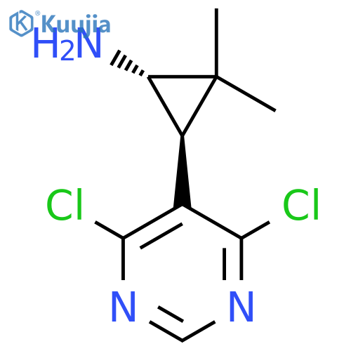 rac-(1R,3R)-3-(4,6-dichloropyrimidin-5-yl)-2,2-dimethylcyclopropan-1-amine structure
