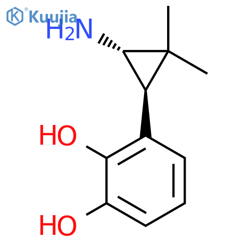 rac-3-(1R,3R)-3-amino-2,2-dimethylcyclopropylbenzene-1,2-diol structure