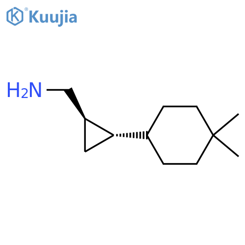 rac-(1R,2S)-2-(4,4-dimethylcyclohexyl)cyclopropylmethanamine structure