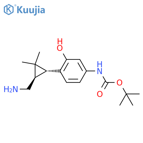 rac-tert-butyl N-{4-(1R,3R)-3-(aminomethyl)-2,2-dimethylcyclopropyl-3-hydroxyphenyl}carbamate structure