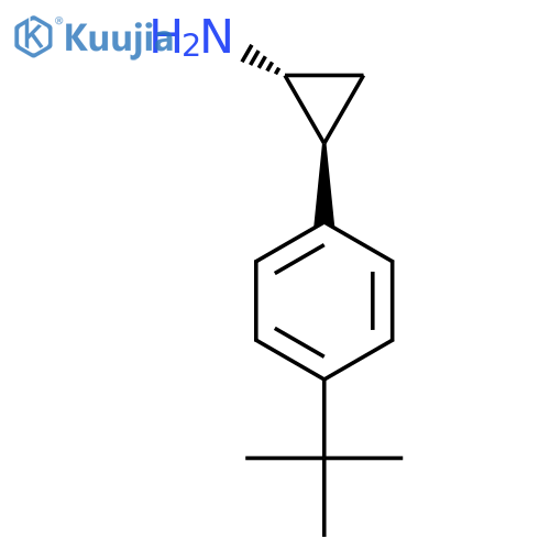 rac-(1R,2S)-2-(4-tert-butylphenyl)cyclopropan-1-amine structure
