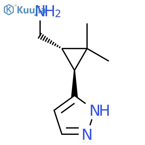 rac-(1R,3R)-2,2-dimethyl-3-(1H-pyrazol-3-yl)cyclopropylmethanamine structure