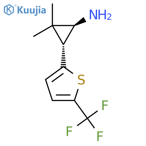 rac-(1R,3S)-2,2-dimethyl-3-5-(trifluoromethyl)thiophen-2-ylcyclopropan-1-amine structure