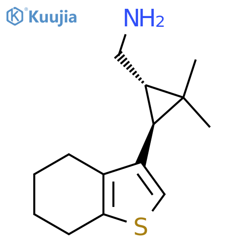 rac-(1R,3R)-2,2-dimethyl-3-(4,5,6,7-tetrahydro-1-benzothiophen-3-yl)cyclopropylmethanamine structure