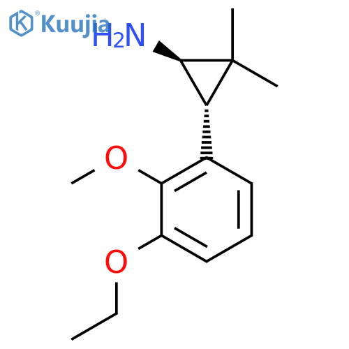 rac-(1R,3R)-3-(3-ethoxy-2-methoxyphenyl)-2,2-dimethylcyclopropan-1-amine structure