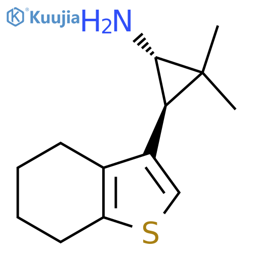 rac-(1R,3R)-2,2-dimethyl-3-(4,5,6,7-tetrahydro-1-benzothiophen-3-yl)cyclopropan-1-amine structure