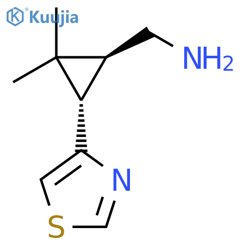 rac-(1R,3R)-2,2-dimethyl-3-(1,3-thiazol-4-yl)cyclopropylmethanamine structure