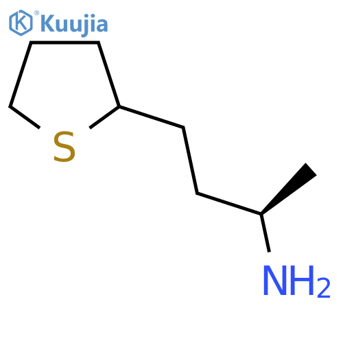 (2R)-4-(thiolan-2-yl)butan-2-amine structure