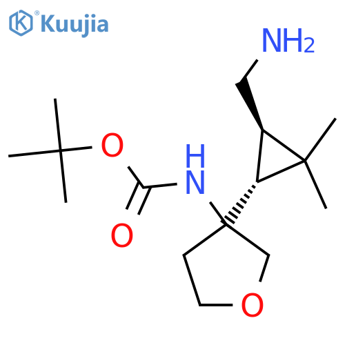 rac-tert-butyl N-{3-(1R,3R)-3-(aminomethyl)-2,2-dimethylcyclopropyloxolan-3-yl}carbamate structure