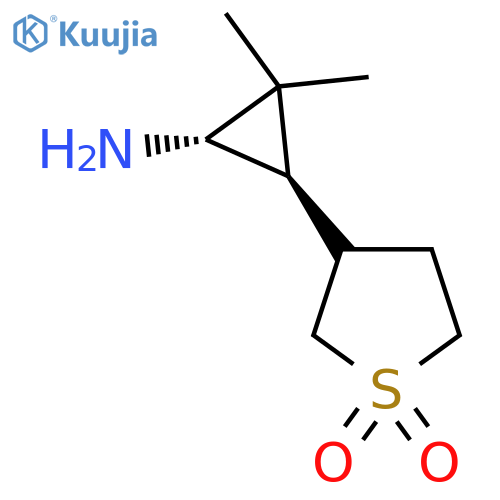 rac-3-(1R,3S)-3-amino-2,2-dimethylcyclopropyl-1lambda6-thiolane-1,1-dione structure