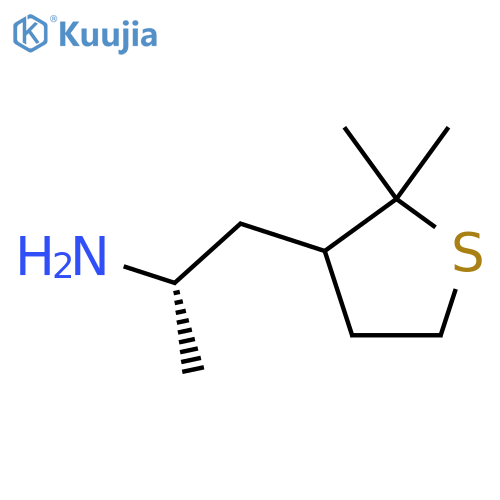 (2S)-1-(2,2-dimethylthiolan-3-yl)propan-2-amine structure