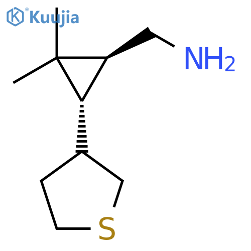 rac-(1R,3S)-2,2-dimethyl-3-(thiolan-3-yl)cyclopropylmethanamine structure