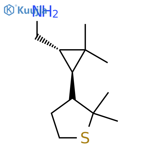 rac-(1R,3S)-3-(2,2-dimethylthiolan-3-yl)-2,2-dimethylcyclopropylmethanamine structure