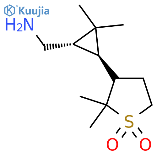 rac-3-(1R,3S)-3-(aminomethyl)-2,2-dimethylcyclopropyl-2,2-dimethyl-1lambda6-thiolane-1,1-dione structure