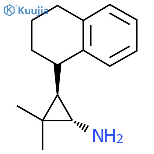 rac-(1R,3S)-2,2-dimethyl-3-(1,2,3,4-tetrahydronaphthalen-1-yl)cyclopropan-1-amine structure