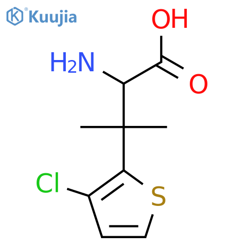 2-amino-3-(3-chlorothiophen-2-yl)-3-methylbutanoic acid structure