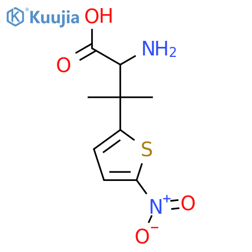 2-amino-3-methyl-3-(5-nitrothiophen-2-yl)butanoic acid structure
