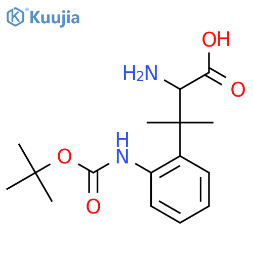 2-amino-3-(2-{(tert-butoxy)carbonylamino}phenyl)-3-methylbutanoic acid structure