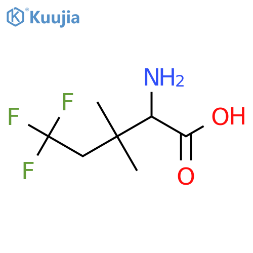 2-amino-5,5,5-trifluoro-3,3-dimethylpentanoic acid structure