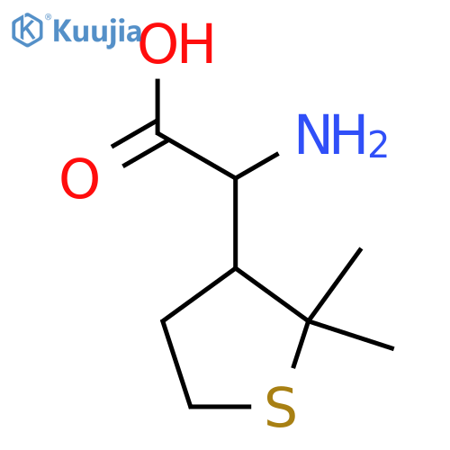 2-amino-2-(2,2-dimethylthiolan-3-yl)acetic acid structure