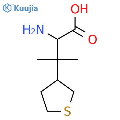 2-amino-3-methyl-3-(thiolan-3-yl)butanoic acid structure