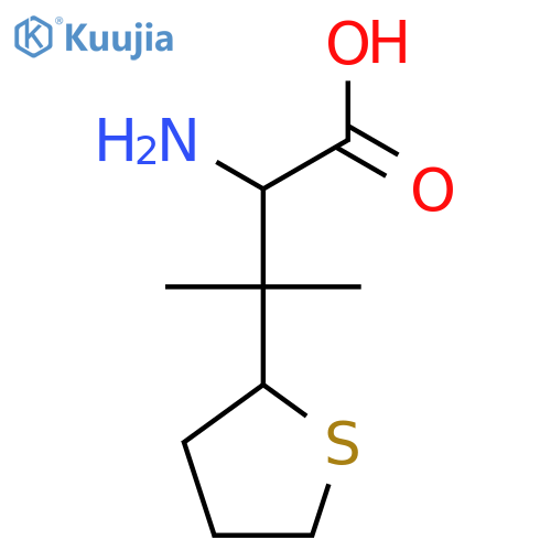 2-amino-3-methyl-3-(thiolan-2-yl)butanoic acid structure