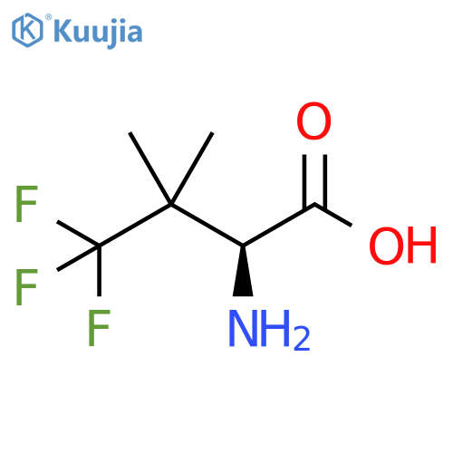 2-amino-4,4,4-trifluoro-3,3-dimethylbutanoic acid structure