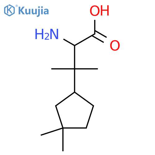 2-amino-3-(3,3-dimethylcyclopentyl)-3-methylbutanoic acid structure