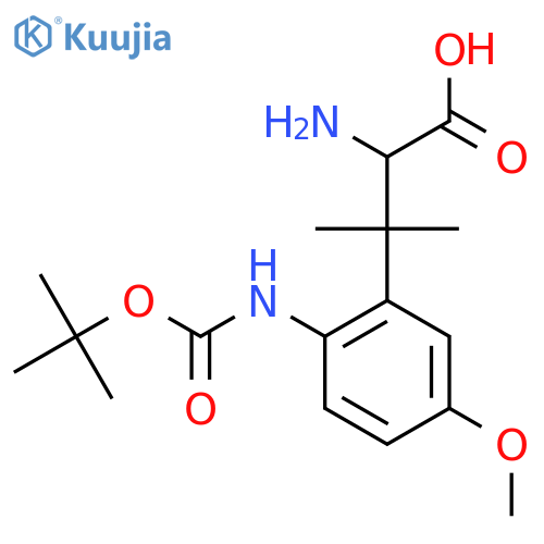 2-amino-3-(2-{(tert-butoxy)carbonylamino}-5-methoxyphenyl)-3-methylbutanoic acid structure