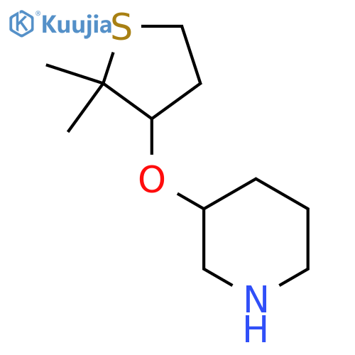 3-(2,2-dimethylthiolan-3-yl)oxypiperidine structure