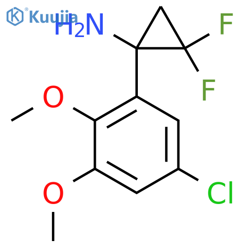 1-(5-chloro-2,3-dimethoxyphenyl)-2,2-difluorocyclopropan-1-amine structure