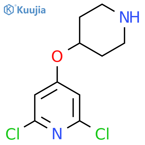 2,6-dichloro-4-(piperidin-4-yloxy)pyridine structure