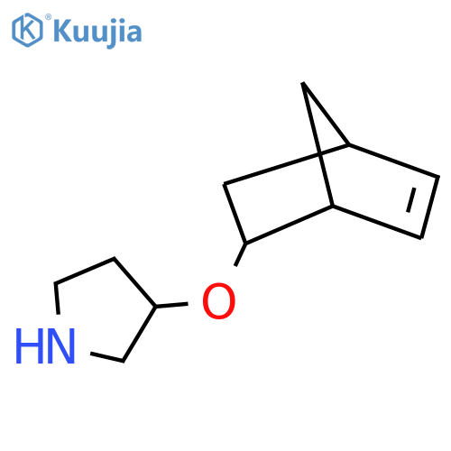 3-{bicyclo2.2.1hept-5-en-2-yloxy}pyrrolidine structure