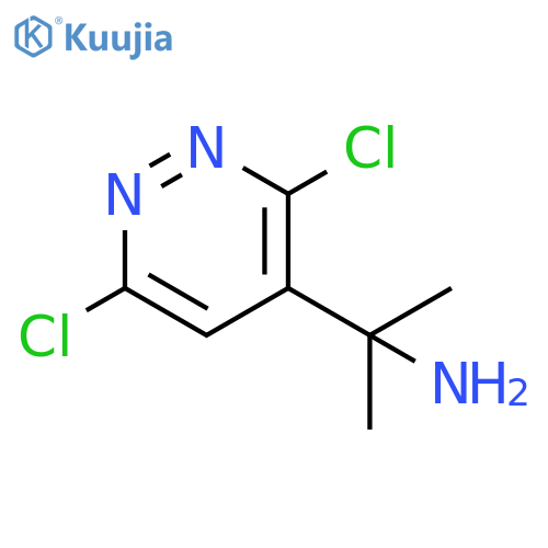 2-(3,6-dichloropyridazin-4-yl)propan-2-amine structure