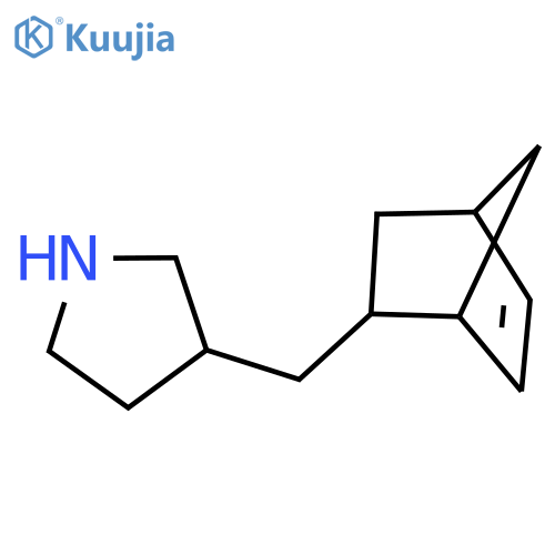 3-({bicyclo2.2.1hept-5-en-2-yl}methyl)pyrrolidine structure