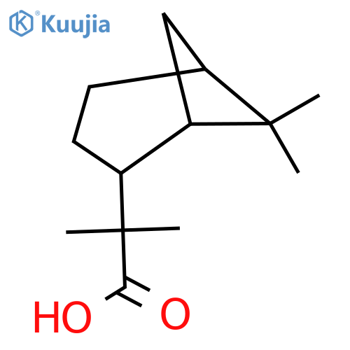 2-{6,6-dimethylbicyclo3.1.1heptan-2-yl}-2-methylpropanoic acid structure